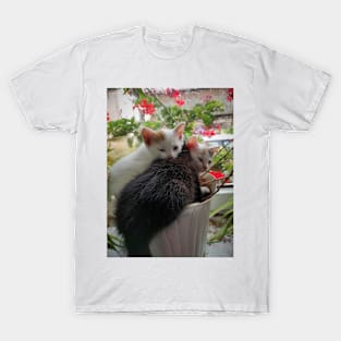 3 cats in a flower pot T-Shirt